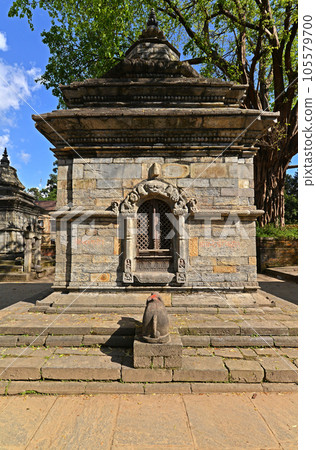 Ancient Hindu temple in Pashupatinath before the earthquake that destroyed them. Kathmandu, Nepal Ancient Hindu temple in Pashupatinath before the earthquake that destroyed them. Kathmandu, Nepal 105579700