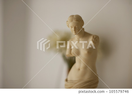 Interior stone statue of Venus de Milo in natural light 105579746