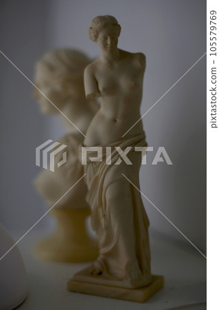Interior stone statue of Venus de Milo in natural light Interior stone statue of Venus de Milo in natural light 105579769