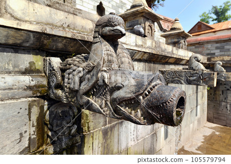 Carved stone public fountain in Pashupatinath, Nepal 105579794
