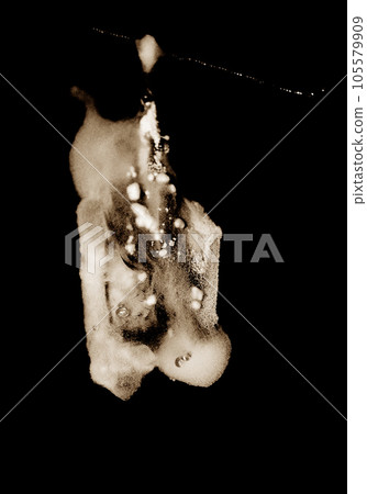 Hanging dead bat covered with mould Hanging dead bat covered with mould 105579909