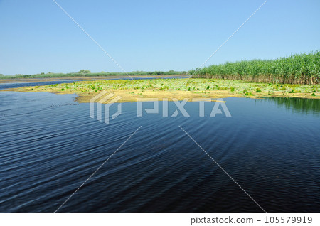 Danube delta. Water channel, lake and marsh, Romania Danube delta. Water channel, lake and marsh, Romania 105579919