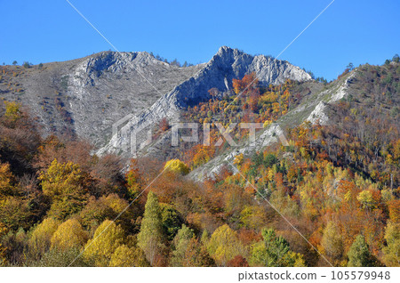 Autumn fall. Colorful autumn forest landscape in the mountains 105579948