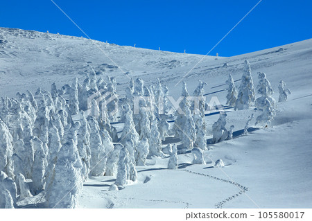 A world of silvery frost at the Yamagata Zao Ski Resort 105580017