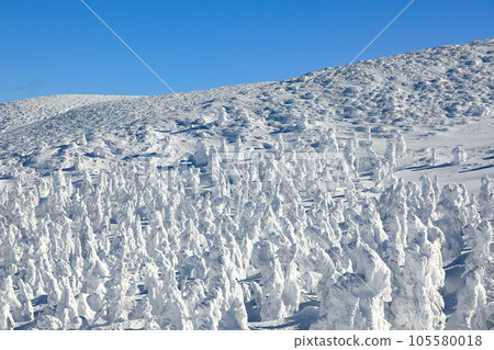 A world of silvery frost at the Yamagata Zao Ski Resort 105580018