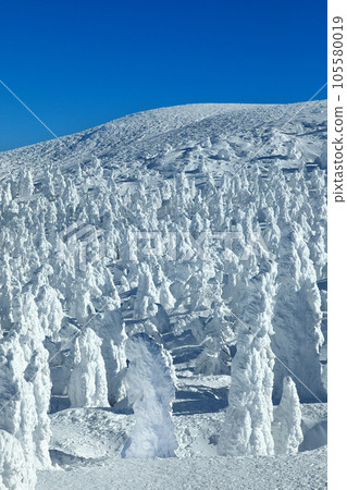 A world of silvery frost at the Yamagata Zao Ski Resort 105580019