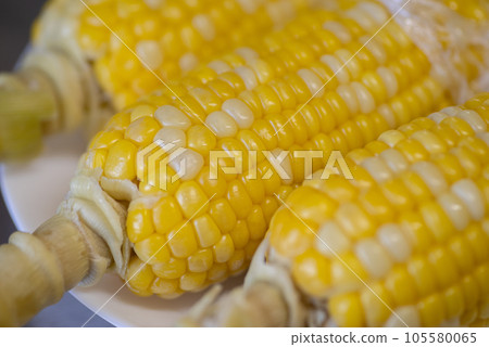 Boiled corn 105580065