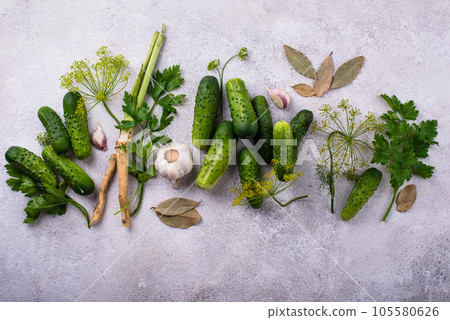 Ingredients for pickled or marinated cucumber 105580626