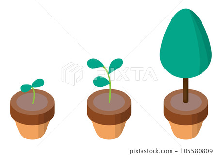 植物生長過程的例證。自然環境的圖像。 105580809