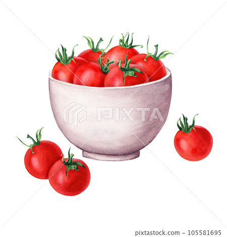 Ceramic white bowl and cherry tomatoes. Hand drawn watercolor illustration isolated on white for clip art, menu, label, package 105581695