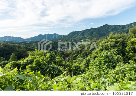 Sagamiko Resort Pleasure Forest Looking down from the campground under the blue sky in summer Sagamihara City, Kanagawa Prefecture 105581817