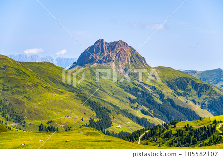 Grosser Rettenstein Mountain with green landscape of Kitzbueheler Alps, Austria 105582107