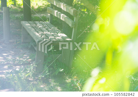 Nostalgic scenery/Sunshine through the trees Image Nostalgic scenery/Sunshine through the trees Image 105582842