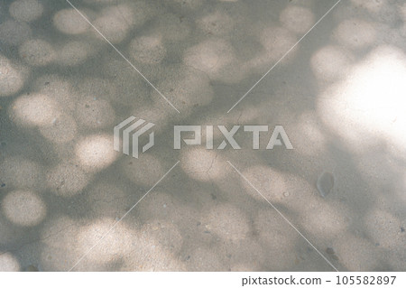 懷舊的風景/陽光透過樹林圖片 105582897