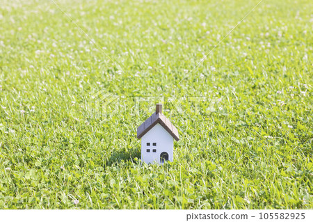 white house on green grass 105582925