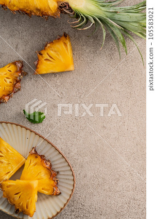 Bromeliad tropical leaves penglai banana background turtle leaf pineapple background パ イ ナ ッ プ ル 105583021