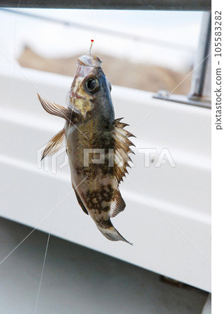 Boat fishing Boat fishing 105583282