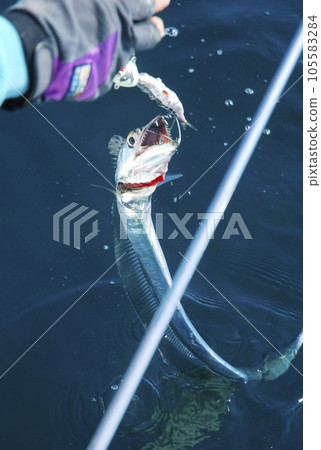 抓魚 抓魚 105583284