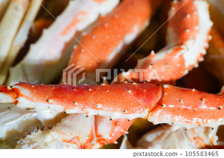 Boiled crab-bug Boiled crab-bug 105583465