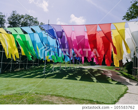 Chijimi Takashima Curtain 105583762