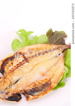 Dried horse mackerel, grilled horse mackerel, bright background 105583873