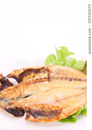 Dried horse mackerel, grilled horse mackerel, bright background 105583874