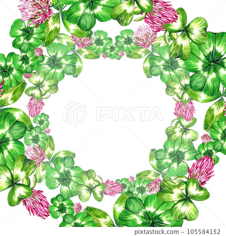 a set of watercolor bright illustrations. meadow grasses, flowers, clover. summer mood for the design of postcards, invitations, website design. 105584152