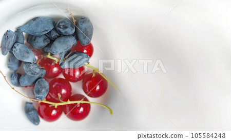 Edible honeysuckle and red currant on white background top view 105584248