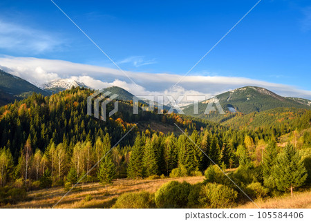 Amazing mountain landscape with colorful trees and herbs 105584406