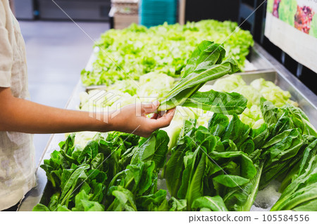 Woman choosing fresh lettuce salad at vegetables store in super market. 105584556