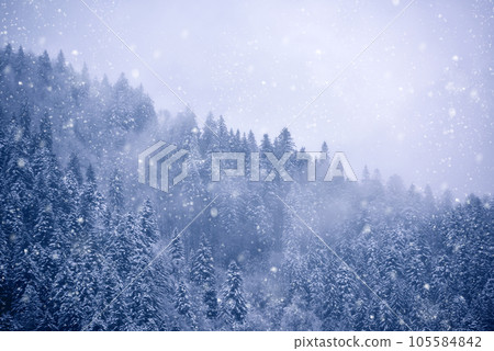Snow blizzard in the mountain 105584842
