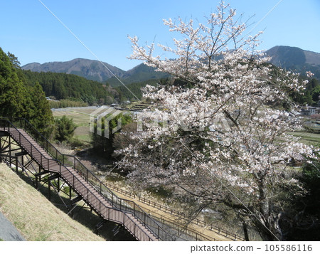 Soni Village Nara Prefecture 105586116