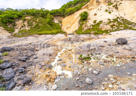 Jigokudani Jigokudani 105586171