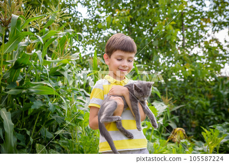 Funny boy hugging a cat with lots of love. Portrait of child hol 105587224