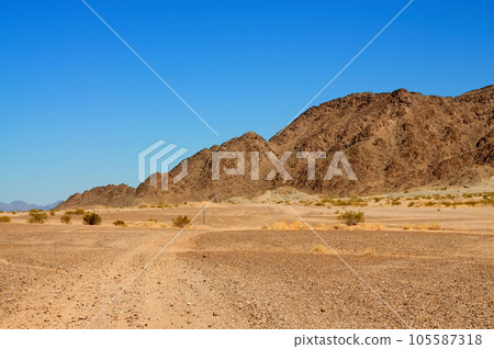 Sonora Desert Arizona Sonora Desert Arizona 105587318