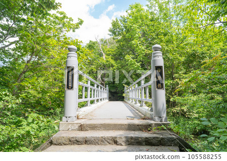 箱包橋(大沼國定公園) 箱包橋(大沼國定公園) 105588255
