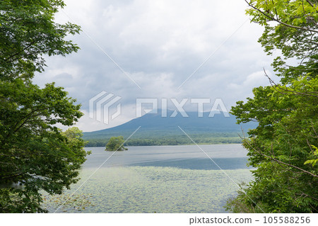從箱周橋附近看到的駒岳(大沼國定公園) 從箱周橋附近看到的駒岳(大沼國定公園) 105588256