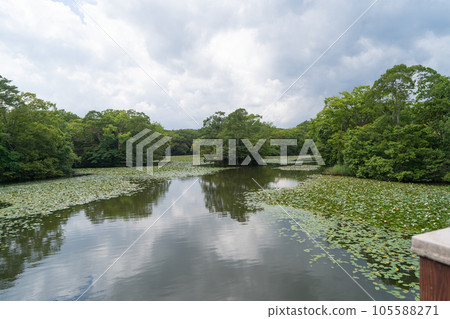 Onuma Quasi-National Park 105588271