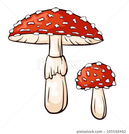 Fly agaric mushroom with red cap and white dots. Amanita muscaria line and cartoon style. Forest poisonous mushroom, medicinal plant, magic, toxic. Vector illustration isolated on a white background. 105588492