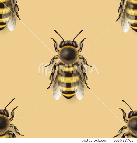 Vector Seamless Pattern with 3d Realistic Detailed Honey Bee Icon Closeup on Yellow Background. Queen Honeybee Design Template, Vector Illustration of Bee in Macro, Top View 105588763