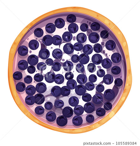 Homemde pie, tart top view whole with yogurt or cream an blueberry round bakery, dessert top view in cartoon style isolated on white background. 105589384