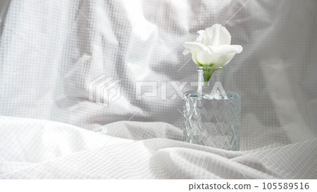 White lisianthus in a vase 105589516