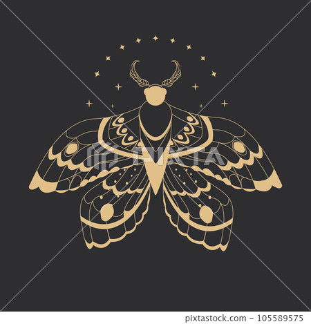 Magic mystic moth silhouette golden line art isolated, boho celestial esoteric symbol, tatoo or print on dark background 105589575