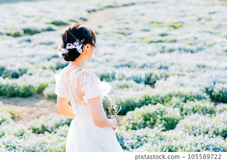 Pre-shooting in the nemophila flower field Image of location shooting 105589722