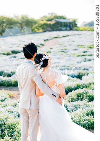 Pre-shooting in the nemophila flower field Image of location shooting 105589801