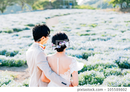 Pre-shooting in the nemophila flower field Image of location shooting Pre-shooting in the nemophila flower field Image of location shooting 105589802