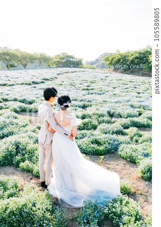 Pre-shooting in the nemophila flower field Image of location shooting Pre-shooting in the nemophila flower field Image of location shooting 105589805
