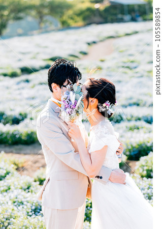 A kiss scene in a nemophila flower field Image of a location shoot A kiss scene in a nemophila flower field Image of a location shoot 105589854
