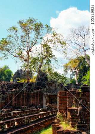 Enigmatic remnants 105589922