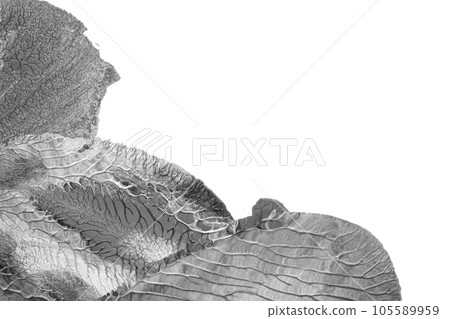 black white abstract acrylic painting color texture on white paper background by using rorschach inkblot method black white abstract acrylic painting color texture on white paper background by using rorschach inkblot method 105589959